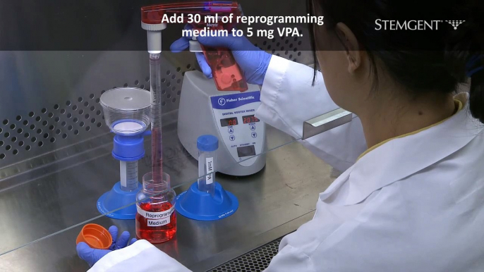 Reconstituting Valproic Acid (VPA) for Reprogramming