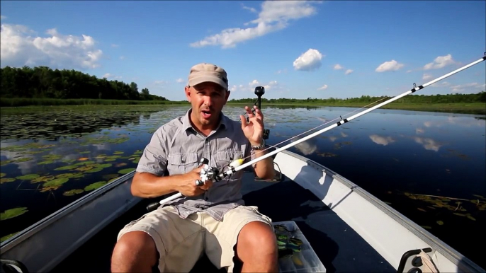 Tips for Fishing Topwater Frogs for Largemouth Bass