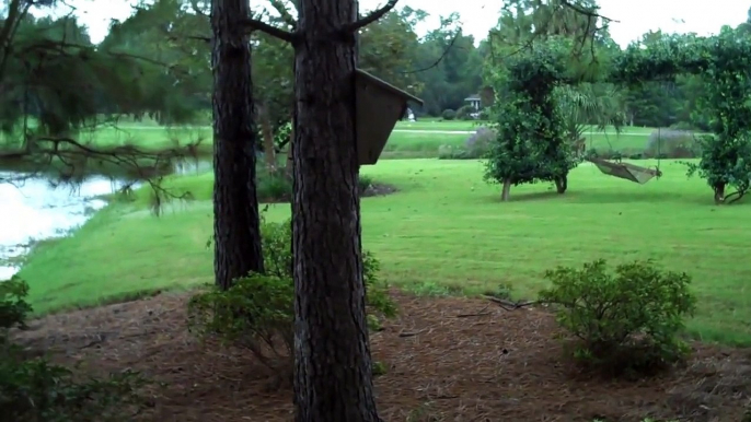 How to Build a Bluebird House