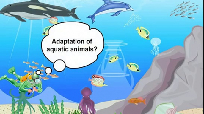 Adaptation in Aquatic Animals- Class 6 Science- Living Organisms and Surroundings (Meritnation.com)