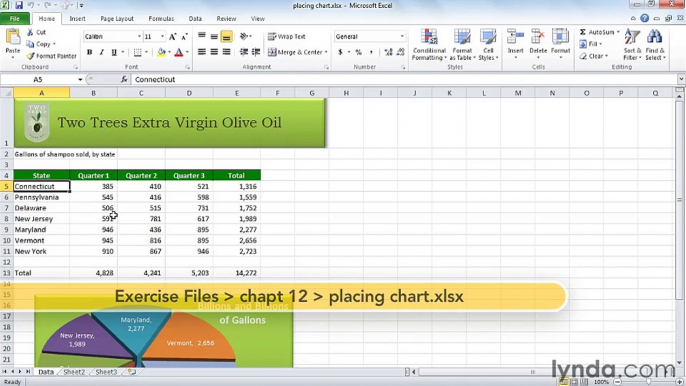 MS Excell Placing Excel charts into other Office applications