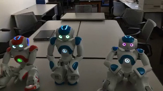 Self Consciousness with NAO Bots