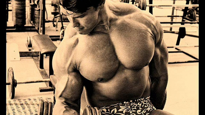 Arnold Schwarzenegger Training -  Bodybuilding Motivation Video 2015