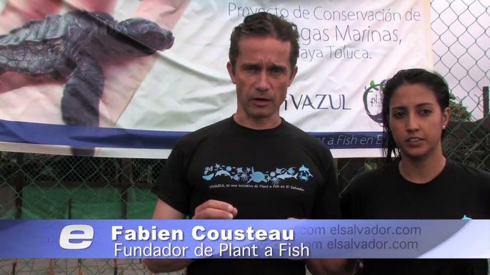 Fabien Cousteau trae más ayuda para la conservación de tortugas marinas