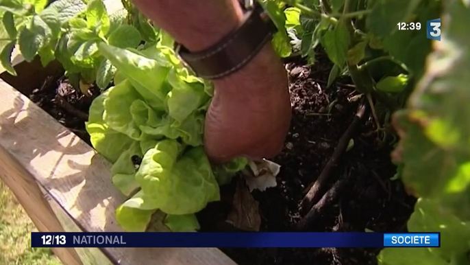 Des bacs à nourriture partagés fleurissent en France