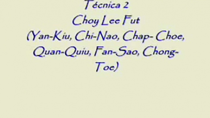 Choy Lee Fut Ching Jong Tecnica 2