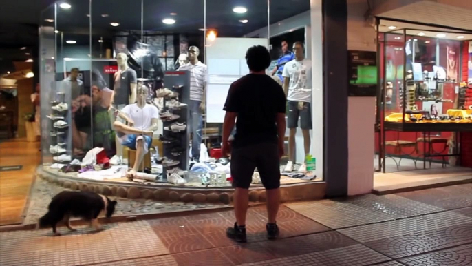 WinSense - Interactive Marketing with Kinect - Shopwindow