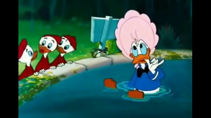 Hot Cartoon 2015 Full  Donald Duck Don s Fountain of Youth Andrea Cartoons.