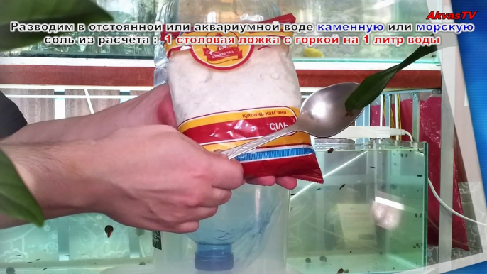 САМОДЕЛЬНЫЙ ИНКУБАТОР ДЛЯ ЯИЦ АРТЕМИИ. Home-made incubator for eggs Artemia salina