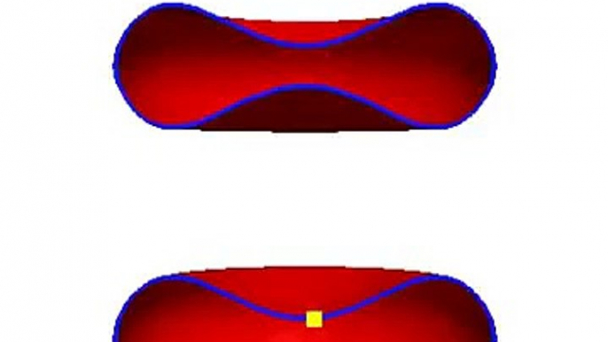 cross-sections of tumbling and tank-treading red blood cells