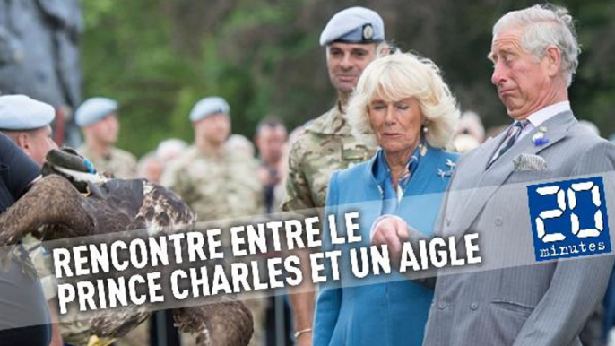 Rencontre difficile entre le prince Charles et un aigle