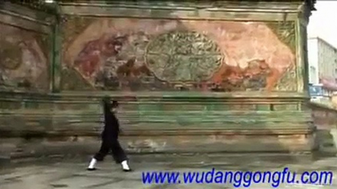 WuDang martial arts--Ba Ji Quan