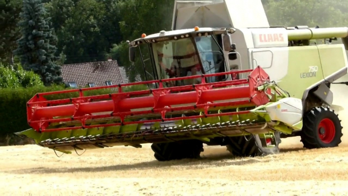 Moisson 2015 orge et blé  - Claas lexion 750