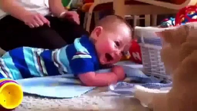 Adorable Babies Laughing at Cats Funny Compilation 2014 flv Top Funny Baby Videos 2013