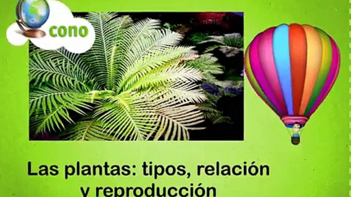 La Eduteca - Las plantas: tipos, relación y reproducción