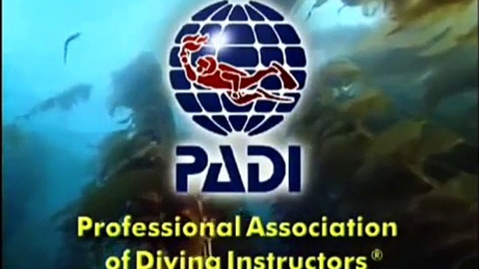 PADI Open Water Diver 1