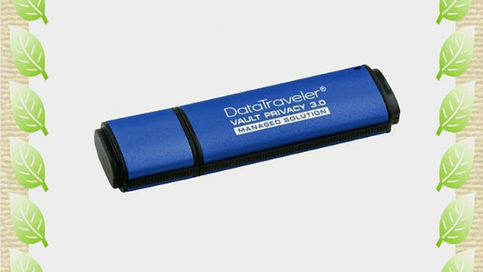 Kingston DTVP30MR 4GB Flash Speicherstick USB 3.0 blau