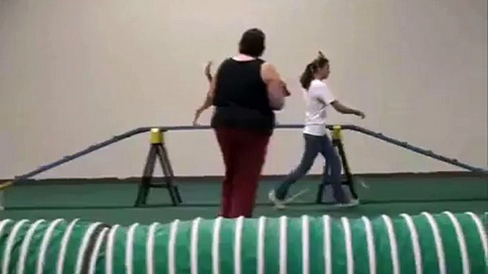 4-H Dog Agility: Level 1 Pre-beginning Agility B Example 2