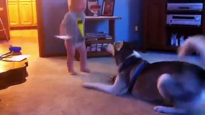 New Funny Animal Videos Compilation 2014 : Baby And Husky Have Deep Conversation Funny Vid