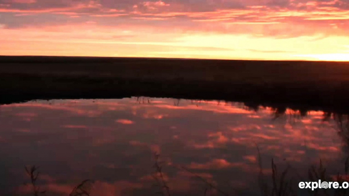 Grasslands Plains Bison Watering Hole Sunrise 10 22 2013 743am