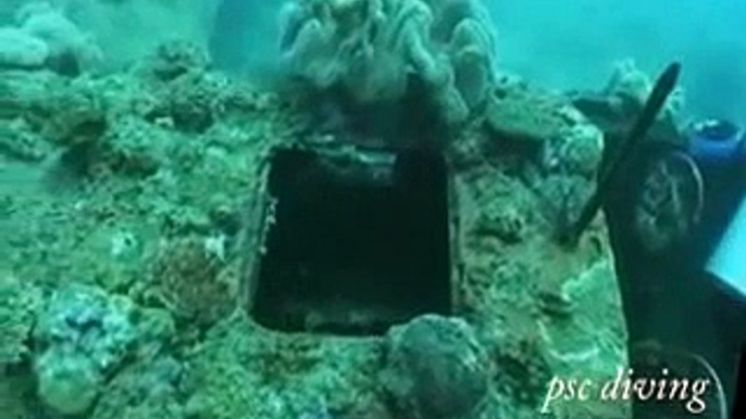 ダイビング　海に眠る爆撃機　(Papua New Guinea  Diving ）