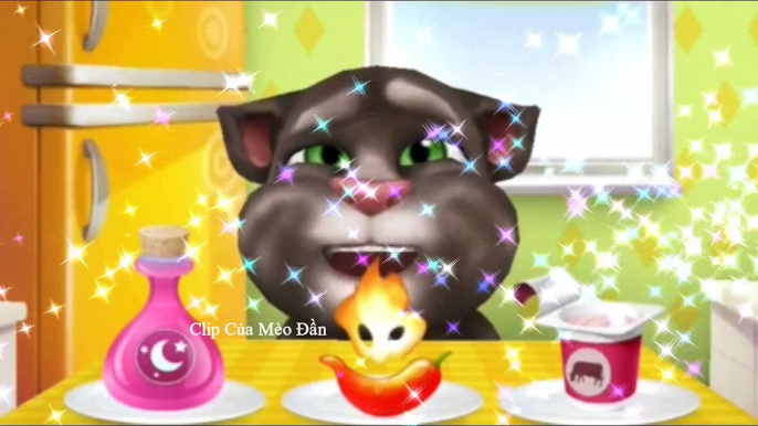 Gummy Bear song - Talking Tom Cat