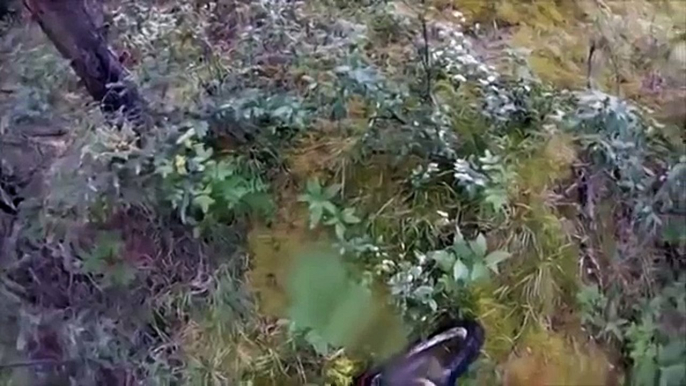 Grizzly Bear Attacks Mountain Bikers! Near miss