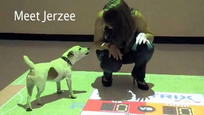 Meet Jerzee, the dog from 'Cute Dog Playing Virtual Soccer'