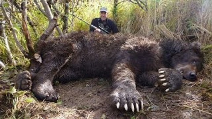 World's Biggest Animals All Time | TOP 10 Biggest Animals| Huge Animals