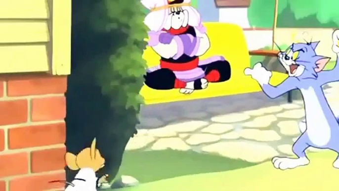 Tom and Jerry   Cartoon Karate Guard