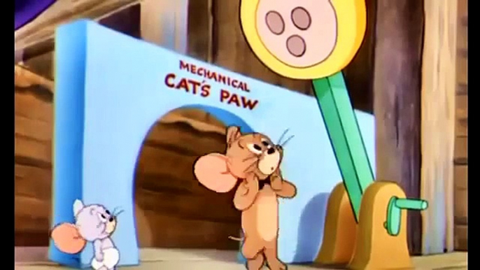 Tom and Jerry Cartoon   Little School Mouse