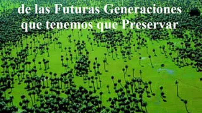 3 Pueblos Originarios Indígenas Aislados en Perú y Brasil Un Derecho 26 8 13