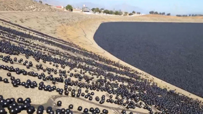 96 millions de balles noires pour sauver un réservoir d’eau à Los Angeles