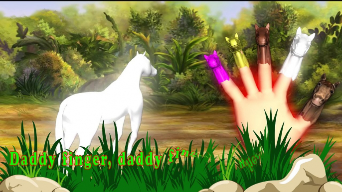 Crazy Horse Finger Family | 3D Animation Rhymes for Children