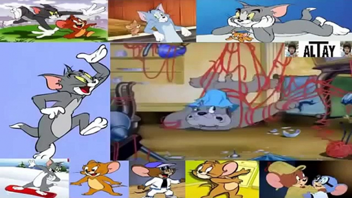 Tom and Jerry    Dog Trouble New Full Cartoon Episode