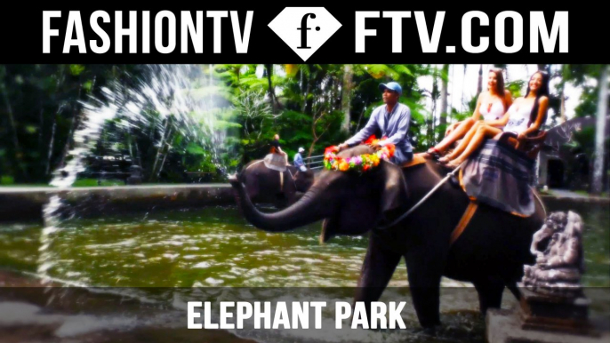 Models at the Elephant Safari Park in Bali for World Elephant Day | FashionTV