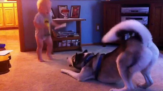 Baby and Husky have deep conversation -Enjoy this