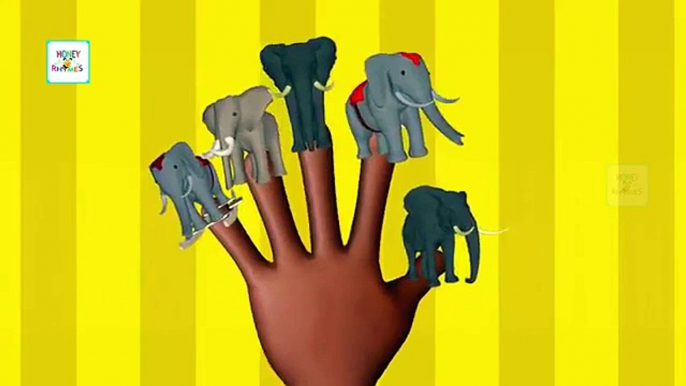 Elephant Animal Finger Family - Finger Family Song - 3D Animation Nursery Rhymes & Songs for Kids