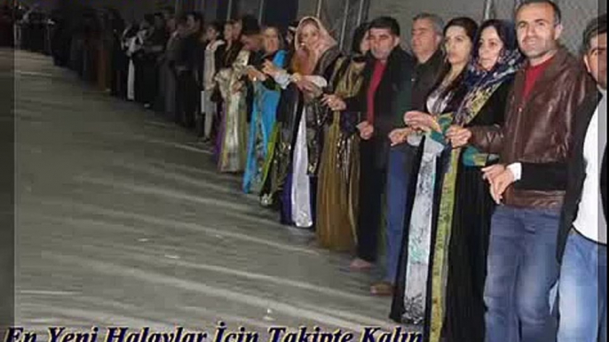 Ağır Delilo Kürtçe Halay 2015