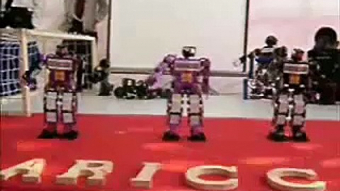 Robo-Erectus Educational and Entertainment Humanoid Robots