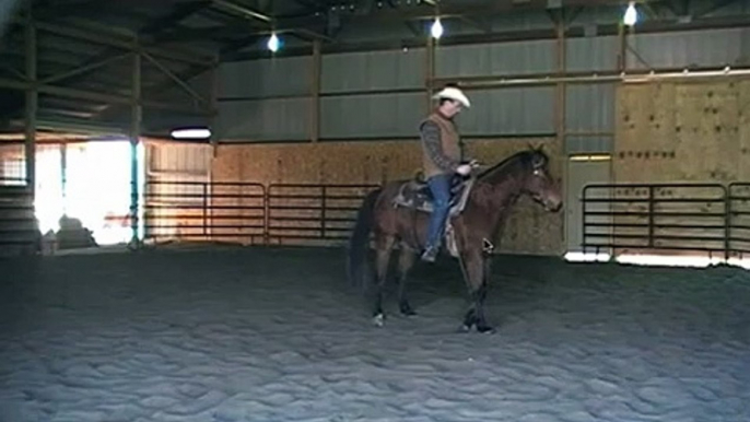 Horse Training - Spin Critique pt.3