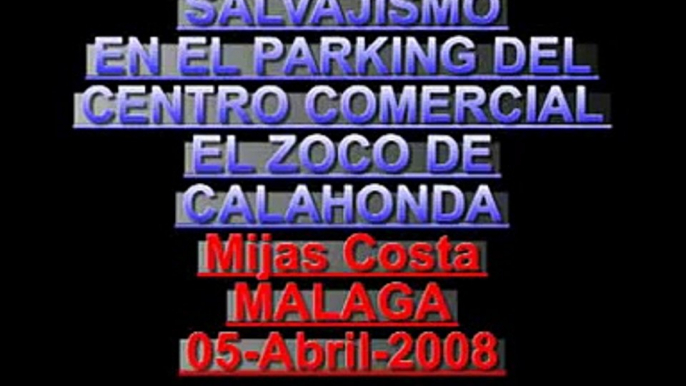 BANDALISMO EN EL ZOCO DE CALAHONDA - MIJAS COSTA - MALAGA