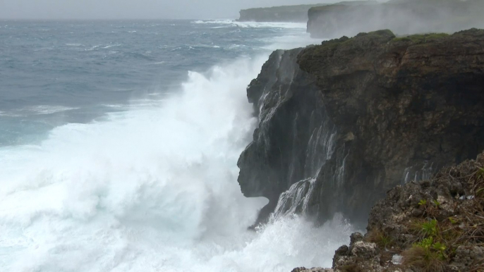 Le typhon Goni s'approche des côtes japonaises