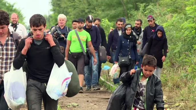 Migrants crossing into Hungary hit record levels