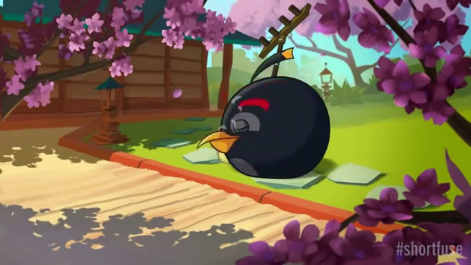 Angry Birds Toons   cute cartoon kids