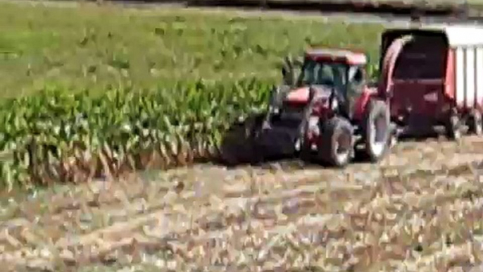 Chopping Silage