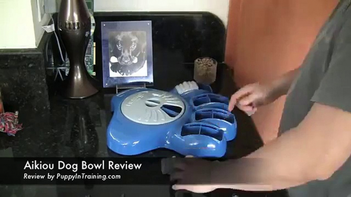 Aikiou Dog Bowl Review