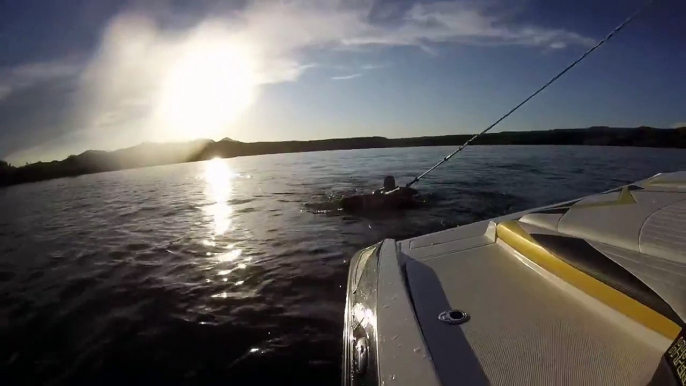 #gopro canyon lake