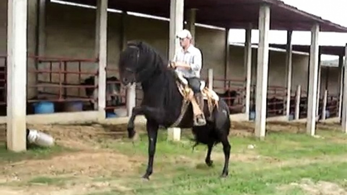 El Torero GT Caballo Español y de fondo Los Toros Tsunamis de Pedro Segura