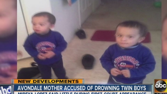 Avondale mother intentionally drowned twin boys